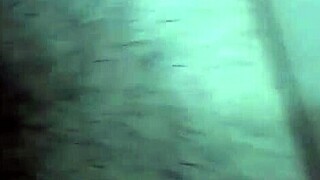 fucking my ex girlfriend's tight wet pussy feels so good