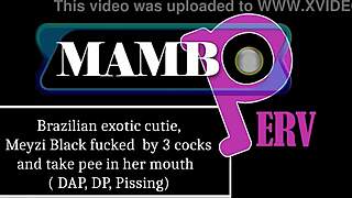 brazilian cutie meyzi black takes three cocks dap dp atm pissing bbc