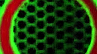 All Natural Jay Taylor's Big Tits Bounce in Doggy Pounding