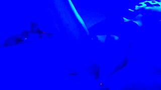 blacklight glows on those sexy feet for hot fetish toes!