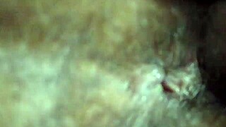 hey lover seduces indian housewife for steamy pussy fuck