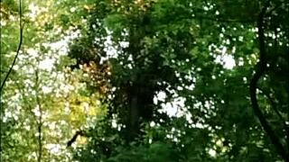 dirty french slave slut bent over forest fucked hard