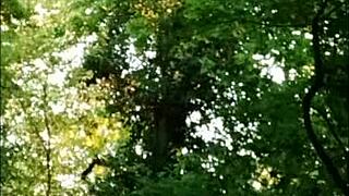 dirty french slave slut bent over forest fucked hard