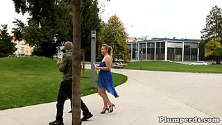 Chubby dominas devour cocks in twisted threesome