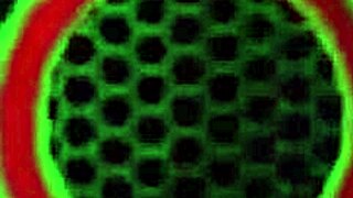 Adriana Chechik's Big Clit Pussy Lips Get Licked Hard