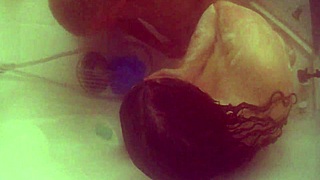 BBW Wife's Shower Turns Into Passionate Doggystyle Cumshot