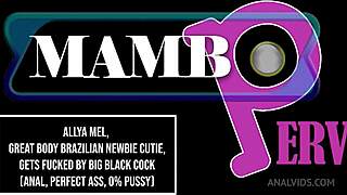 aylla mel perfect brazilian ass anal big black cock dirty talk