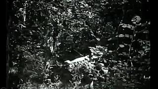 Dark lantern entertainment vintage classic showcase