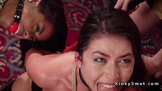 My wild party with huge cock sucking and anal thrills