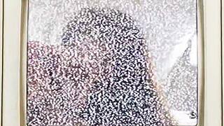 who blasts ava addams shaved pussy after backstage doggy pounding?