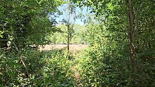 Clapham Common Public Toilet Cruising Trails June