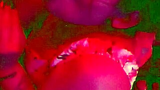 Can Anyone Deepthroat This Monster Cock Better?