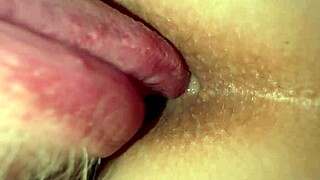 18yo winks butthole begging for iphone like good slave?