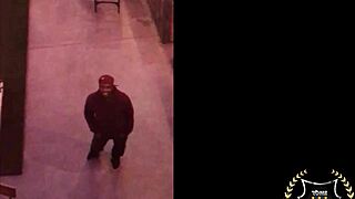 My busty curvy milf jaylene rio pussy gets eaten then rides rome majors big black cock deep