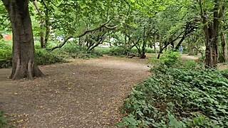 Clapham Common Public Toilet Cruising Trails June