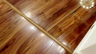 World's First Humanistic AI Butler Serves Cum Fantastically Cute