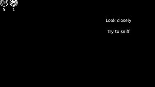 hey slave, watch her stroke that monster shemale cock now