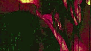 I dive into vintage threesomes with hairy beavers everywhere