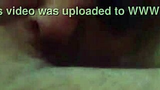 did the bear grab your hair for early morning cock suck stella?