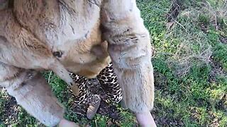 risky outdoor blowjob leads to public cumshot