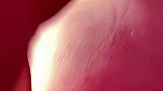 Curvy Teasing Ass and Tits Compilation