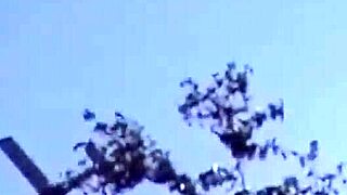 wanna watch these lesbians lick toes in pantyhose orgy footjob frenzy