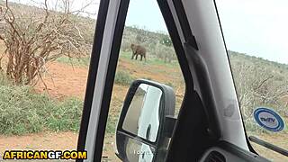 big booty ebony teen gets her tight pussy pounded pov doggystyle deepthroat by massive white cock domination