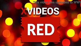 Xvideos Red Delivers Cute and Beautiful Music Highlights