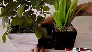 hey stepsis kyler quinn, need my big cock for your tight pussy?