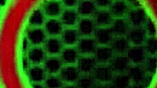 sara jay fucks big tits phone sex style