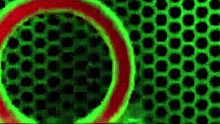 Miles Long Feeds Nasty Blonde Valerie White His Outdoor Cum!