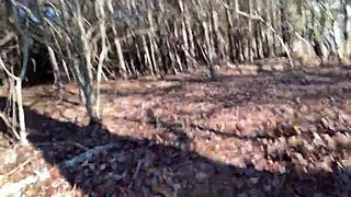 Clitlicker662 Flashes Naked In Forest Update!