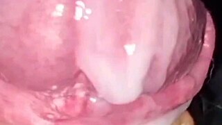 Homemade cumshots and moans from big cock tribute explosions