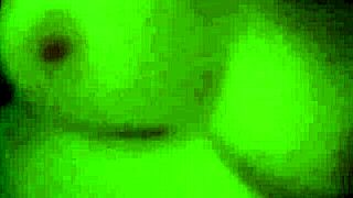 big ass chubby shower toy orgasms bathtub play