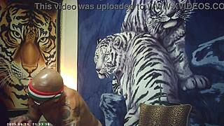 maxxx loadz strokes muscular body on magic motion machine backstage