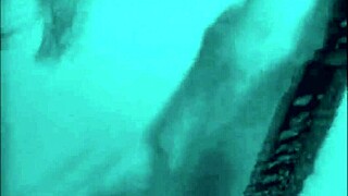 dark lantern unveils two centuries of vintage erotic treasures