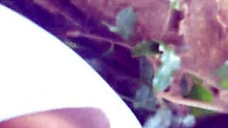 Oiled Black Granny Sucks Big Cock Cumshot