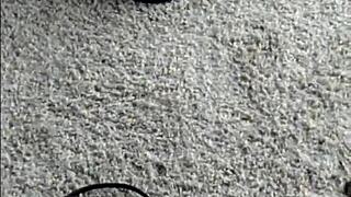 tears of joy modeling my new pleaser heels, can't wait for more