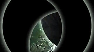 stepdaughter cassidy klein fucks jelena jensen and sarah vandella!