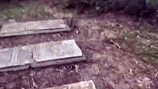 impregnablelexa bareback creampied by wolfdaddy901 public park