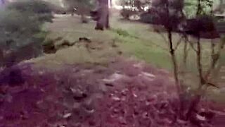 impregnablelexa bareback creampied by wolfdaddy901 public park