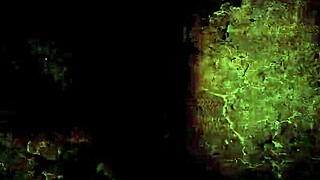 vintage 19th century antique hairy retro vibes 😍📜✨