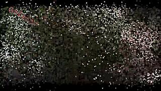 hj pool recording with alex lima paty bumbum el toro de oro bruxo fire ass pounding