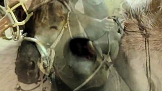 Vintage hairy pussy meets eager pooch outdoors