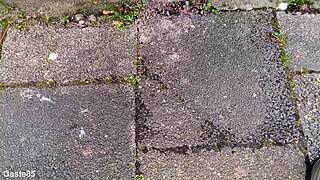 i accidentally peed my jeans in public outdoor spot today