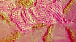 Playboy Blonde MILF Bombshell Rachel Page Strips Petite Centerfold Tease