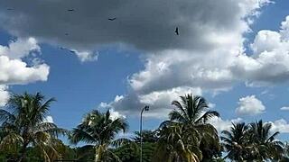 Tiny Bikini Beach Pickup Leads to Wild Hotel Fuck