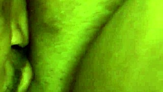 licking wet pussy on holiday gets so steamy