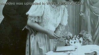 Vintage Antique Retro Drawings Detailed Classic Illustrations