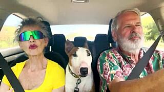 What sexual secrets spill on our east oahu car chat?